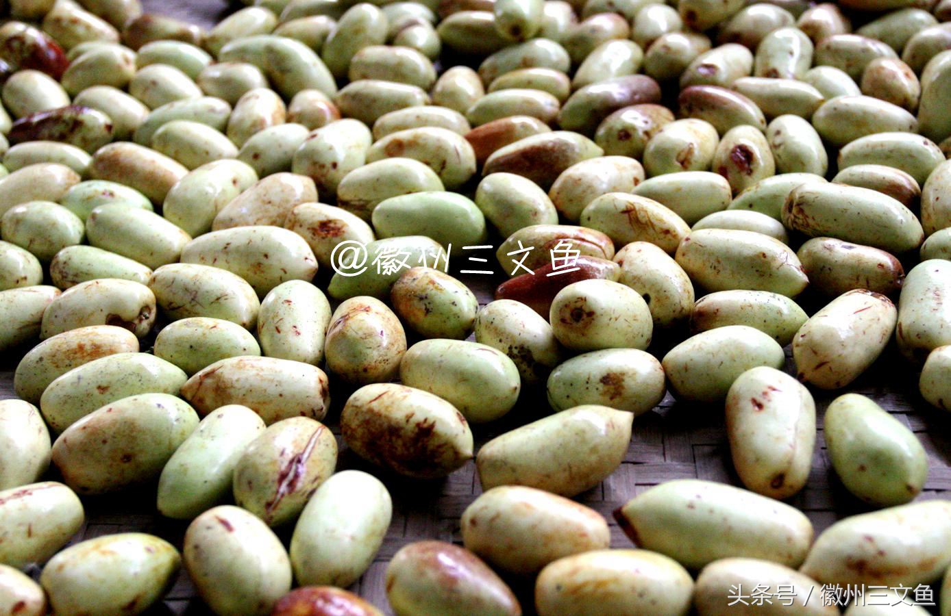 徐州金丝琥珀蜜枣,姚村金丝琥珀蜜枣