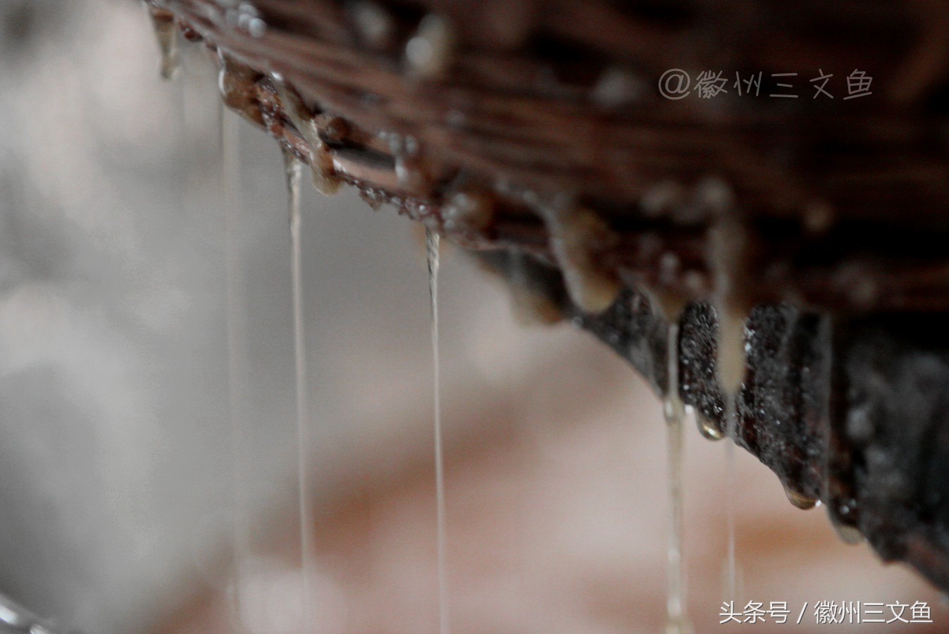 徐州金丝琥珀蜜枣,姚村金丝琥珀蜜枣