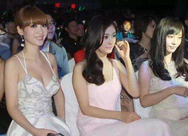 柳岩胸器竟然不是最大看A*杯罩**到G*杯罩**女星都有谁