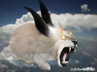 古代神兽大全排名,古代神兽大全镇宅