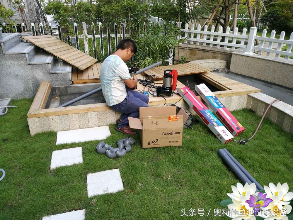 10吨小鱼池的完美养成记