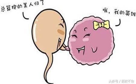 女性卵巢衰老的六大禁忌,女性卵巢功能衰退的危害