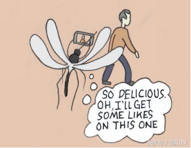 有毒！为什么拍照发朋友圈后的饭菜更好吃？