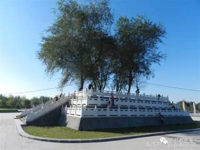 高邑今天的事,高邑那些事