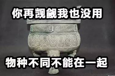 少年醒醒！这些你常说的词，原本并不是这个意思啊！