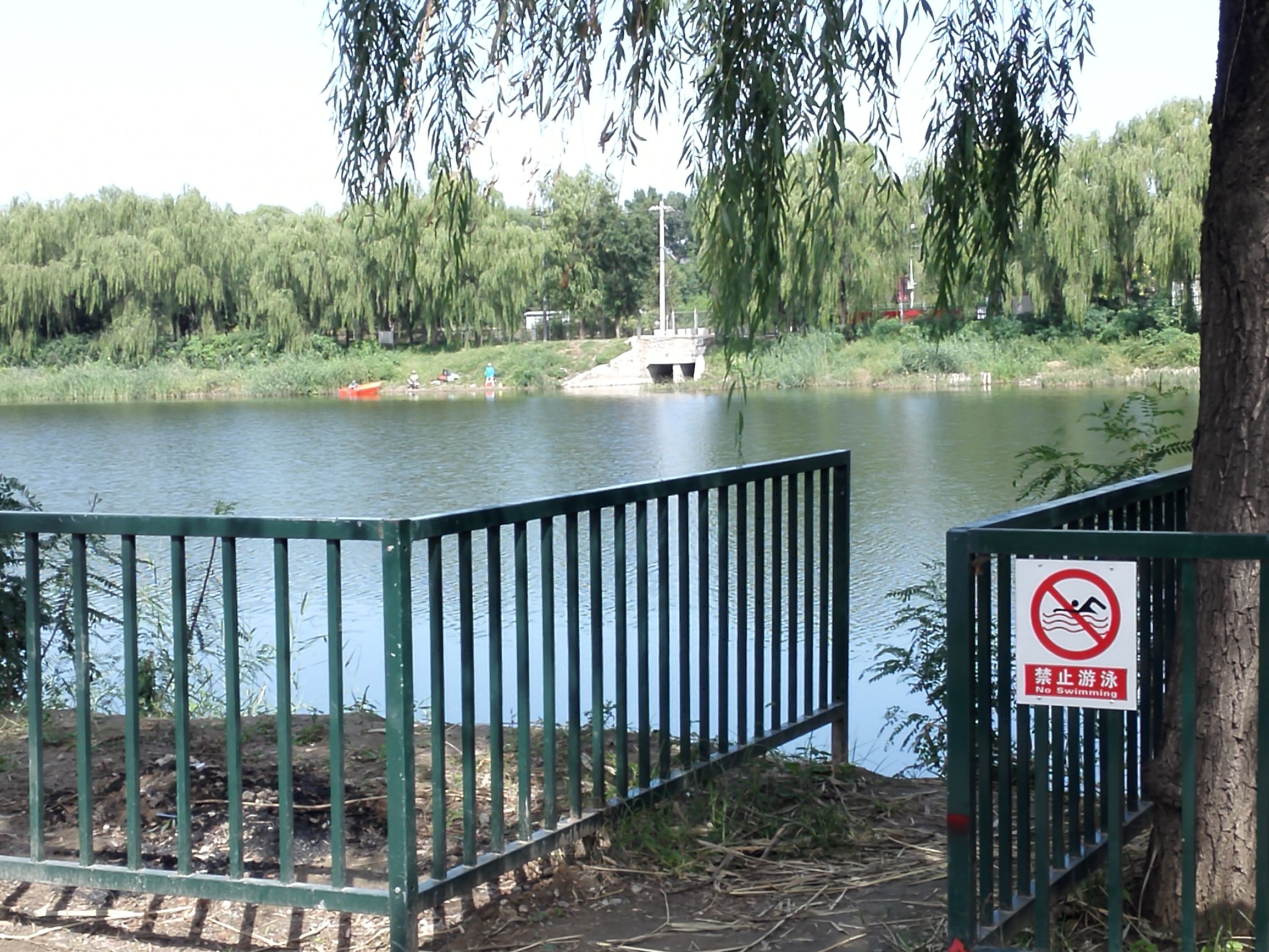 自驾上庄水库，渔塘垂钓赏荷花，管理大爷沿河种水草！