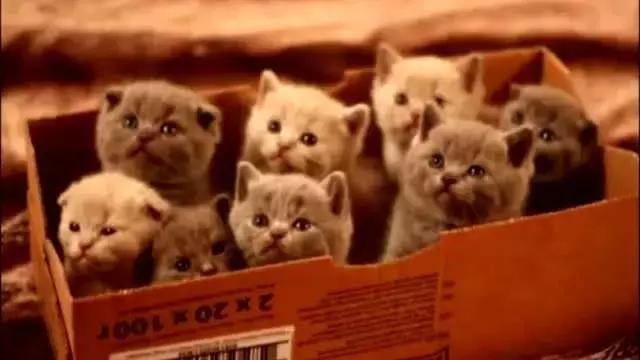 清除床单衣物的螨虫最好的方法,最全最有效去除家里的螨虫方法