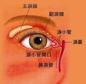 泪道阻塞什么方法可治10个月宝宝,宝宝泪道堵塞最好解决办法