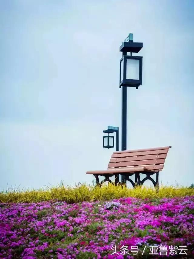 安顺旅游必去十大景点推荐一下,你的好友会带你去哪里玩