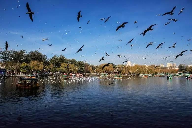 9月机票价格走势,机票白菜价140元起全国各地出发