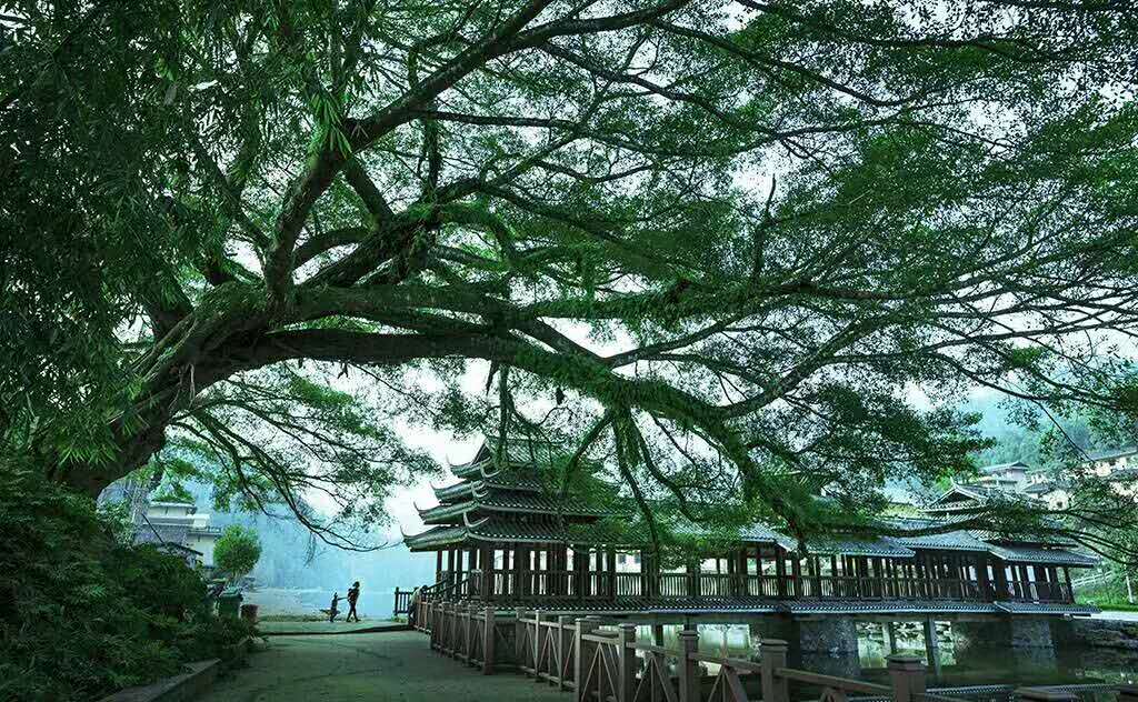 探秘神秘瑶寨,探千年神秘古瑶寨