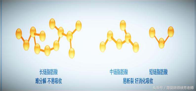 到底是羊奶粉喝好还是牛奶粉喝好,应该选择羊奶粉吗