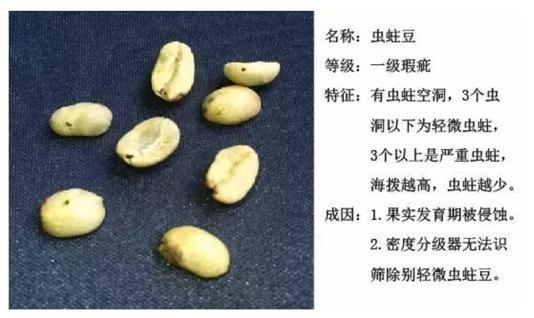 咖啡恶心干呕,喝了咖啡恶心想吐解决办法