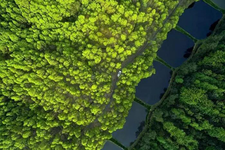 aa加速器使用方法,A加速器