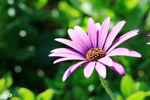 孕30周胎儿引产,孕妇六个月准备引产的全过程