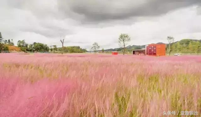 安顺旅游必去十大景点推荐一下,你的好友会带你去哪里玩