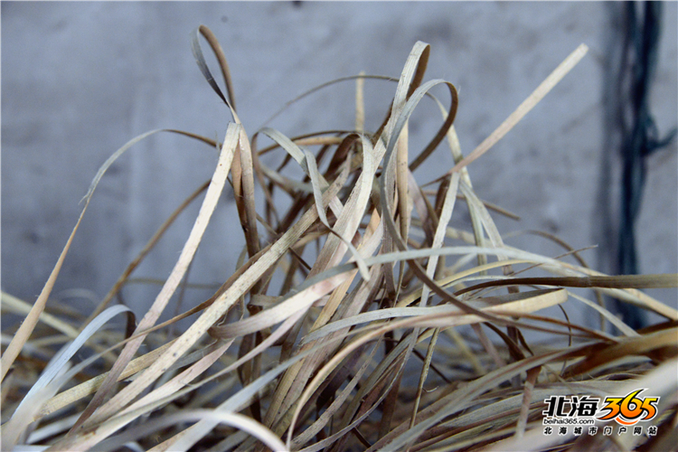 正宗手工编织藤椅,真藤编织藤椅教程