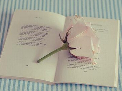 考研就业的优劣势,女生考研好吗应不应该考研