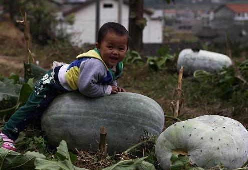 是不是中医有治疗脚气的秘方,专治脚气脚痒的小偏方