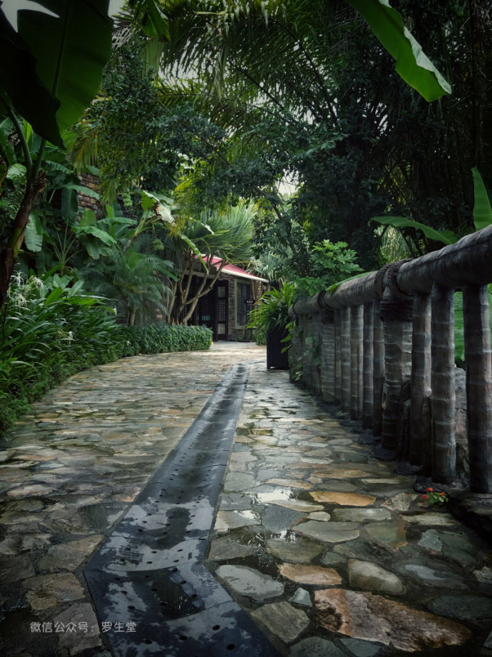 热带雨林里的美食，来这里吃的全是特色！