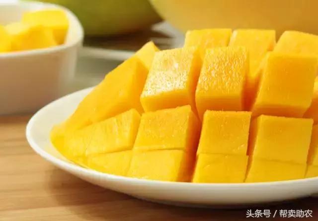 这个教师节，我要送芒果界的“巨无霸”