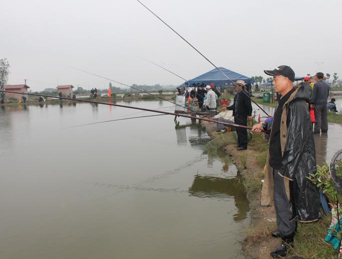 适合晚秋冬季钓鱼的饵料,入秋钓鱼饵料