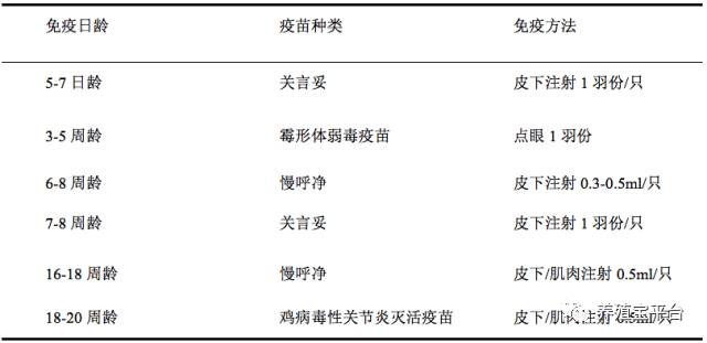 鸡腿部疾病产生的原因及预防措施,鸡腿部青紫是什么病