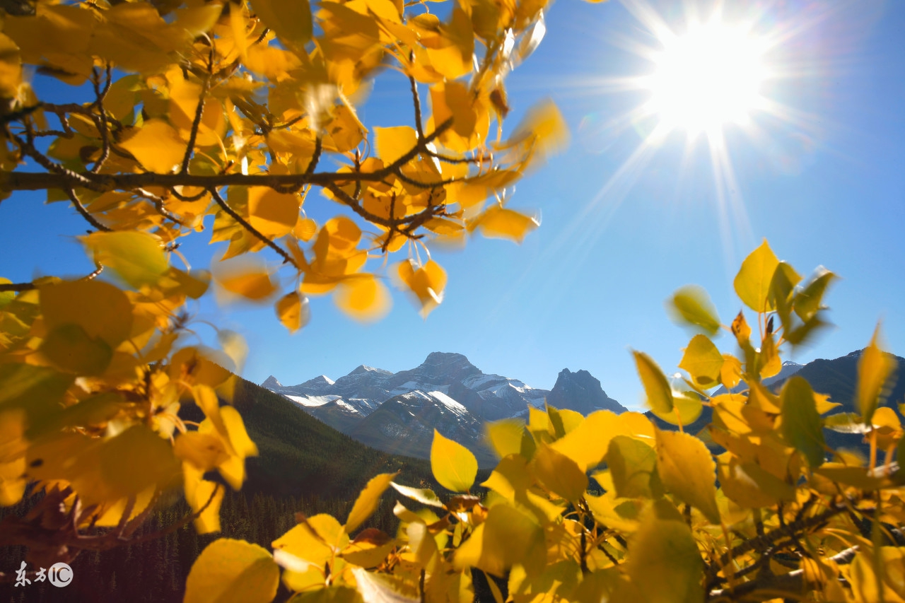 2017242期福彩3D：直落号斜连号隔期号都比较重要