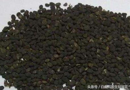 白癜风用补骨脂泡酒擦有作用吗,补骨脂和白蒺藜治白癜风