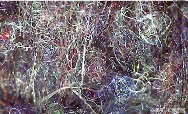 美国自来水污染危害,美国饮用水遭污染事件