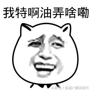 盐城公积金新政策房价会涨吗,盐城公积金购买二套房政策