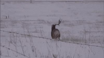 没办法啊打又打不过，只能用淫荡的微笑来缓解尴尬