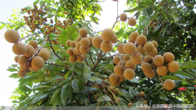 二十四节气白露高清图,二十四节气之白露儿歌