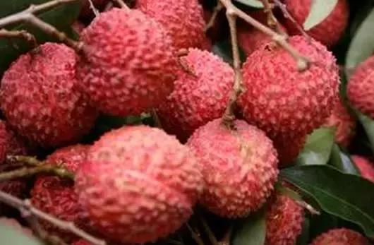 各个身体部位都爱吃哪种水果,哪儿不舒服就吃哪种水果