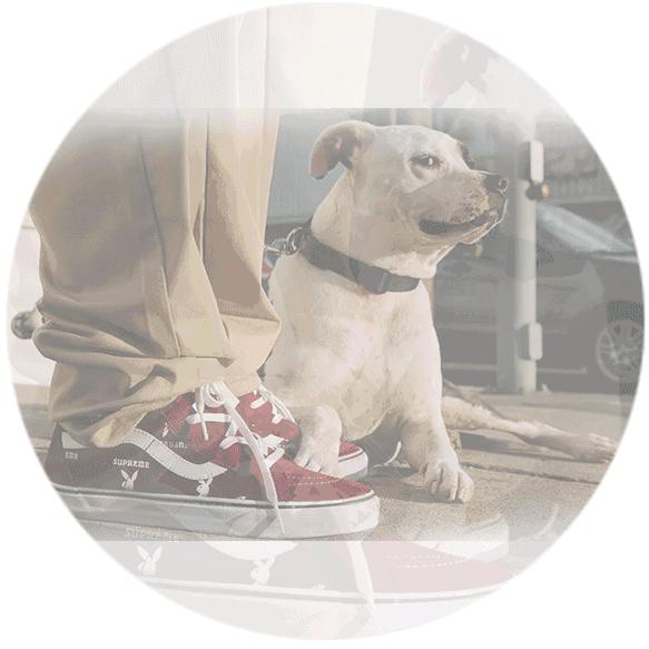 全球十大潮牌supreme,2019最火的supreme