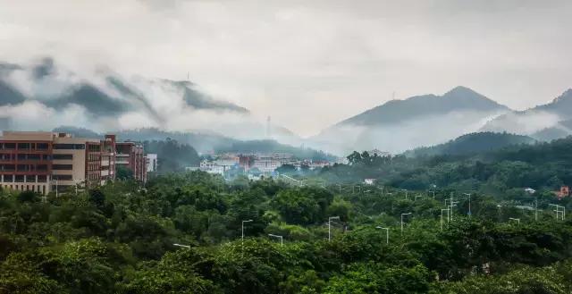 不愧为中山的生态保护区，镜头下的五桂山竟然这么美