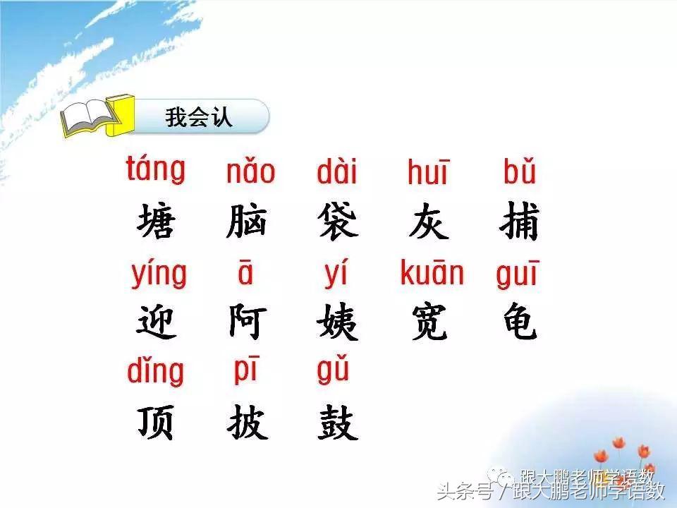 小蝌蚪找妈妈课文讲课ppt,小蝌蚪找妈妈课件