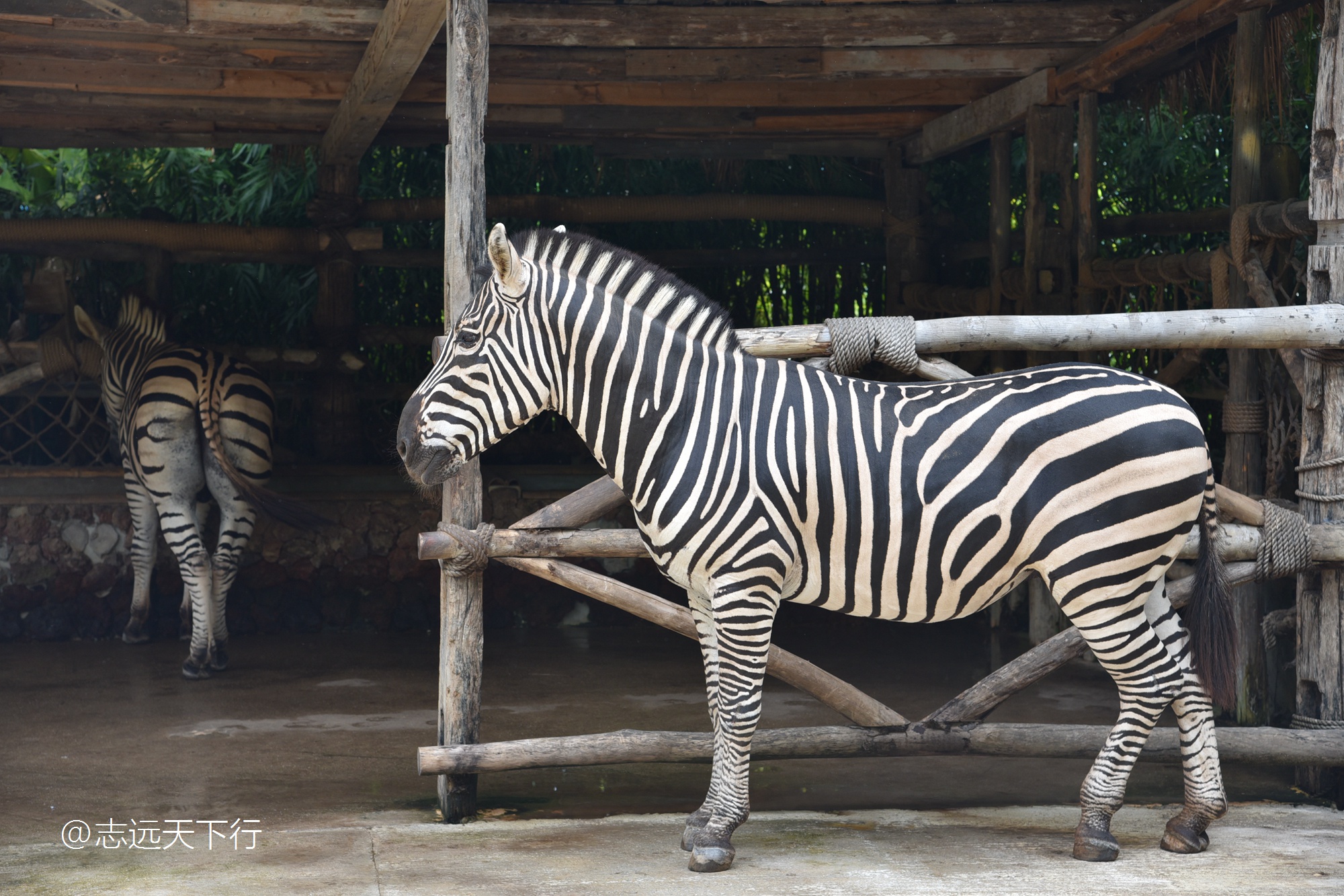 三亚合适小朋友玩的景区,三亚儿童旅游