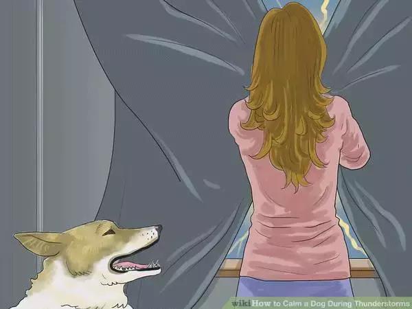 狗狗怕打雷怎么处理,怎样能克服狗狗怕打雷呢