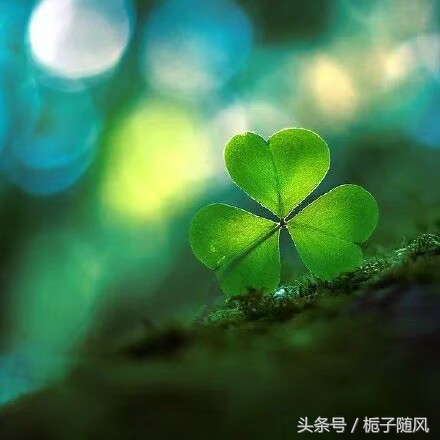 华南最新排名十大城市,华南地区都有哪些城市