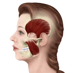 瘦脸针有基础版跟加强版吗,瘦脸针打一支有效果吗