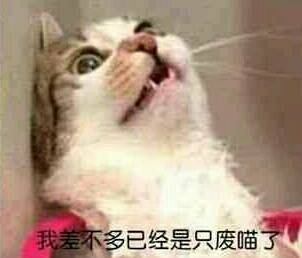 石家庄99%人的上班态势，最后一个说到心坎里了！