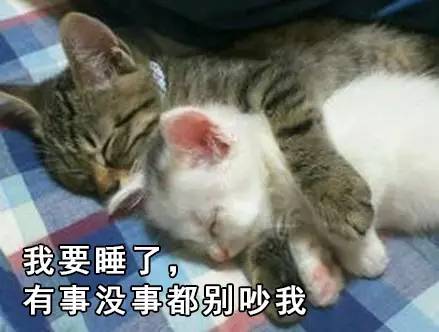 石家庄99%人的上班态势，最后一个说到心坎里了！