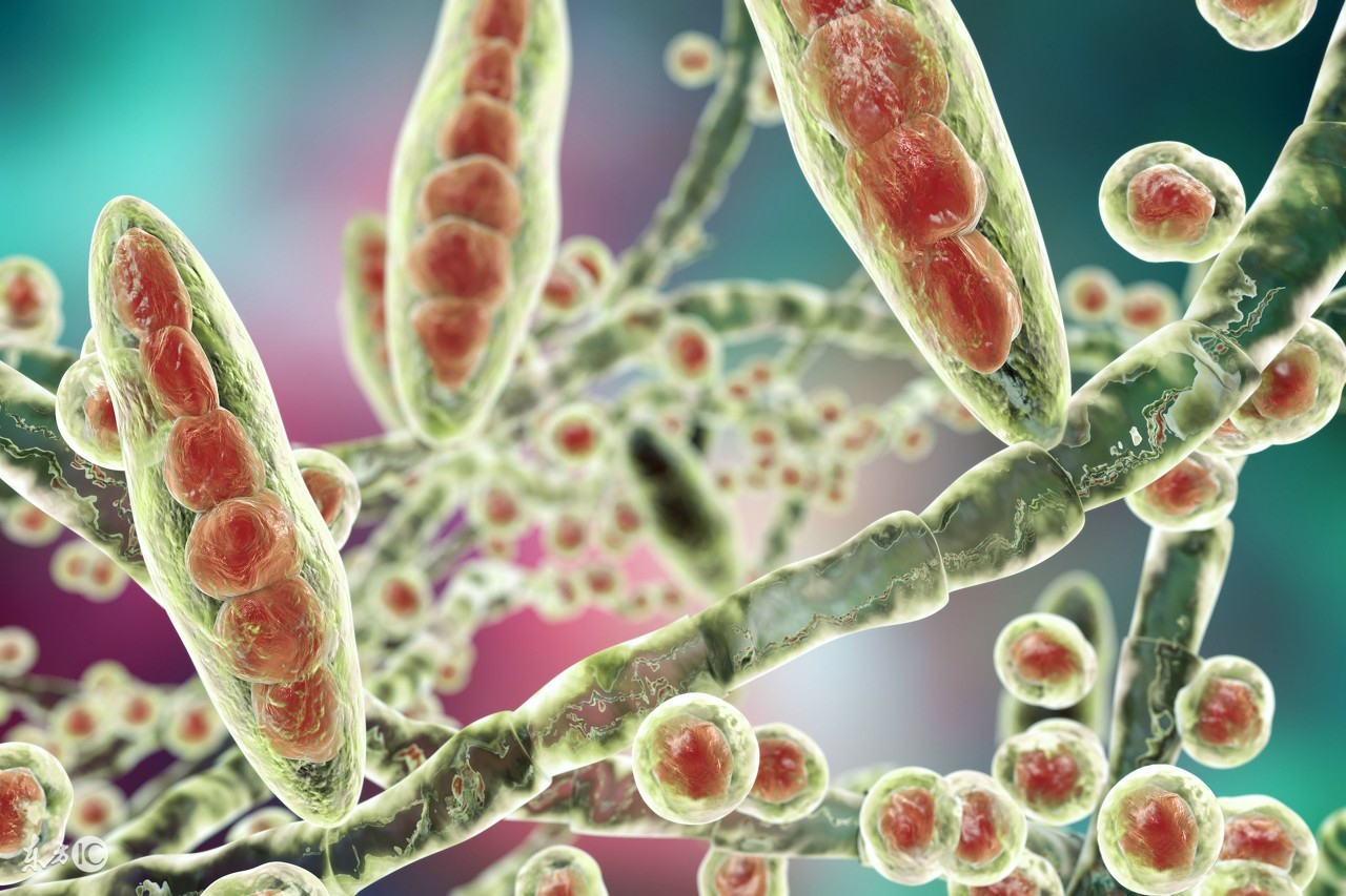 脚气引起的脚面溃烂肿胀怎么治愈,脚气不治的危害是什么