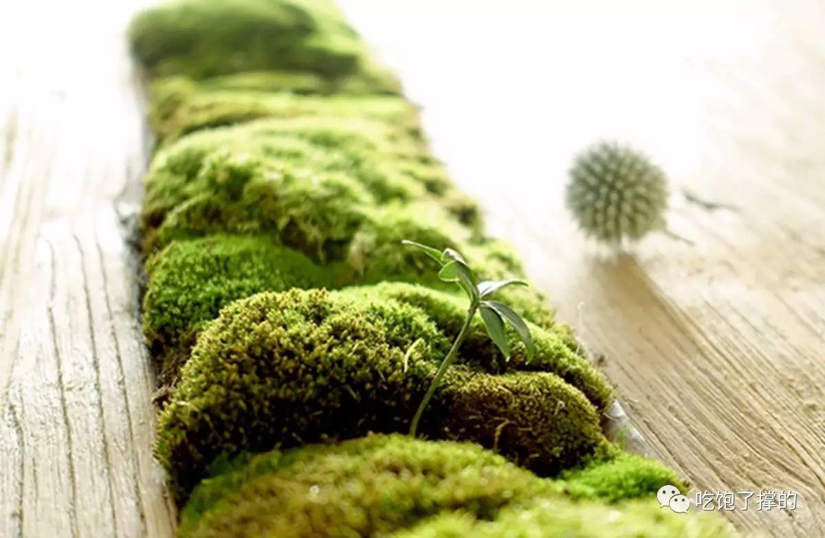 轻奢小众高级花店,有文艺气息的花店