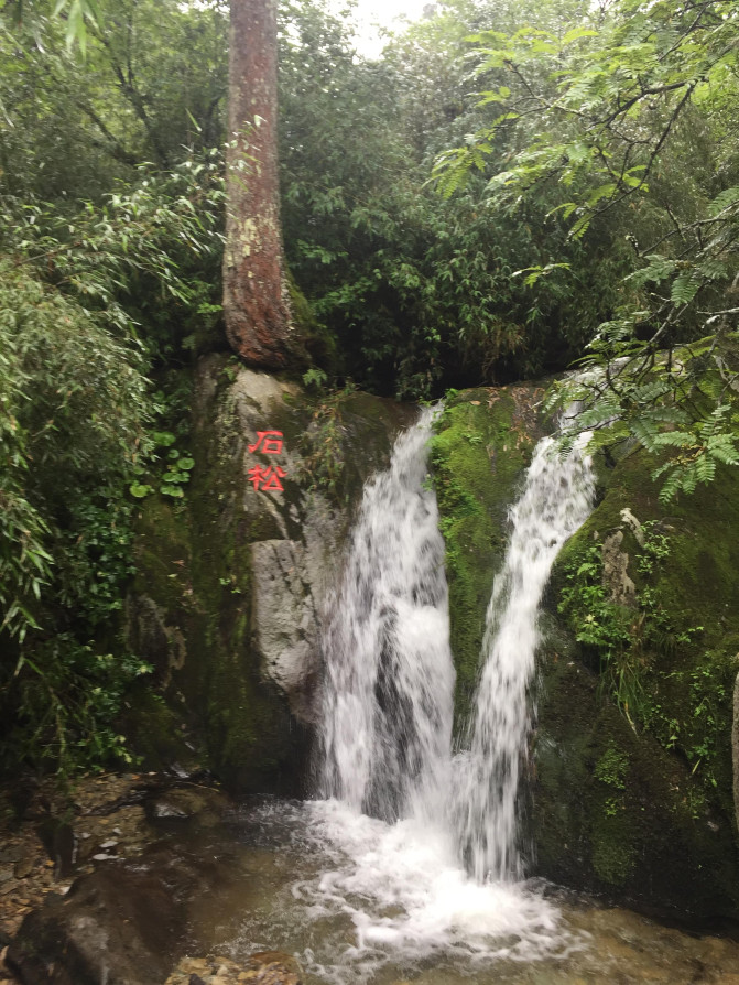 万州到神农架自驾游,神农架自驾游帐篷区