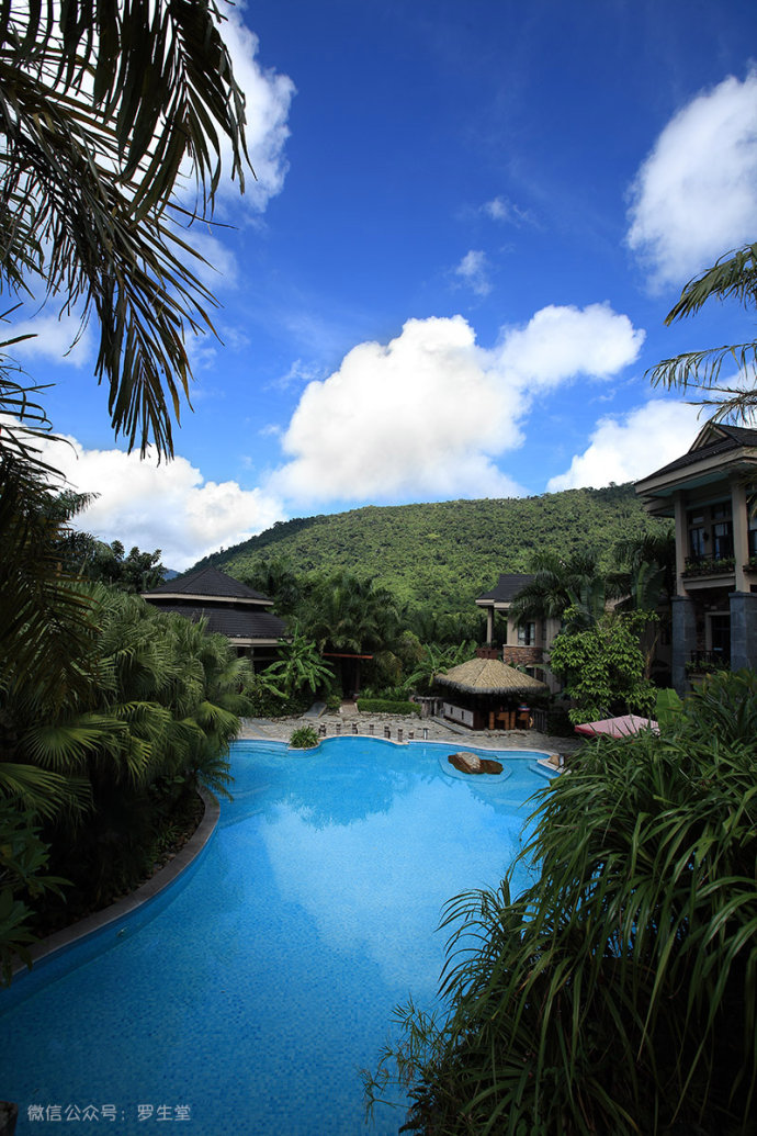 热带雨林里的美食，来这里吃的全是特色！