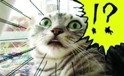 石家庄99%人的上班态势，最后一个说到心坎里了！