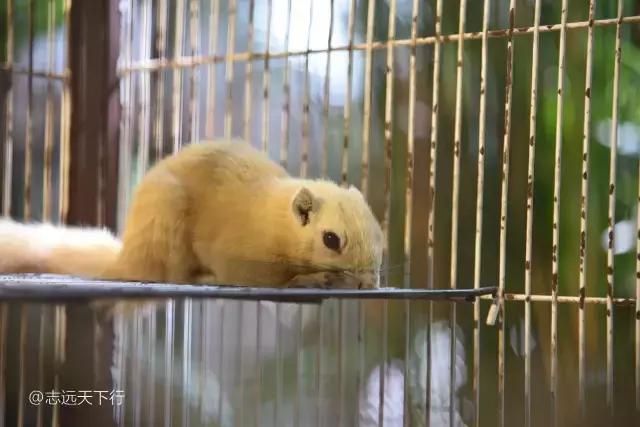 三亚合适小朋友玩的景区,三亚儿童旅游