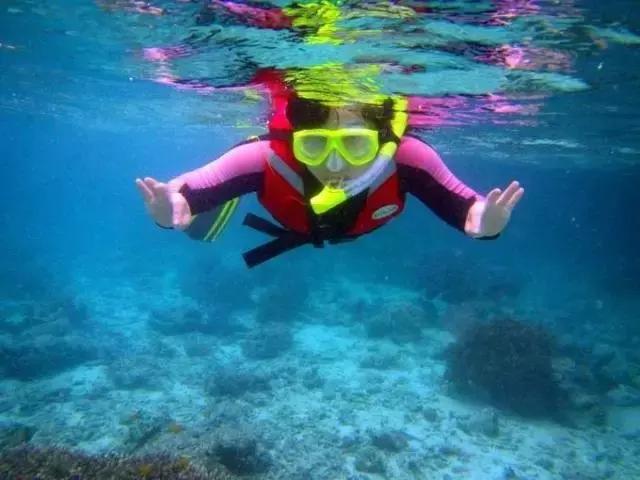 一个让人看了就想脱衣服的海岛，还能与漫天萤火虫共舞……